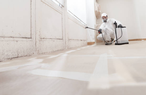 24/7 Emergency Mold Removal experts in Warren, NJ