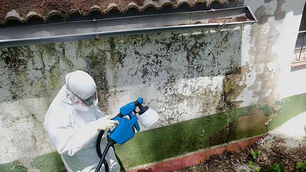 Top rated local Mold Removal specialists in Warren, NJ